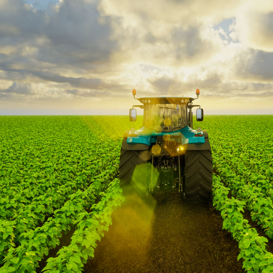 Agriculture as Africa&rsquo;s Economic Backbone